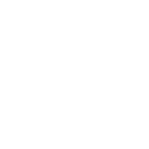 Wordpress logo